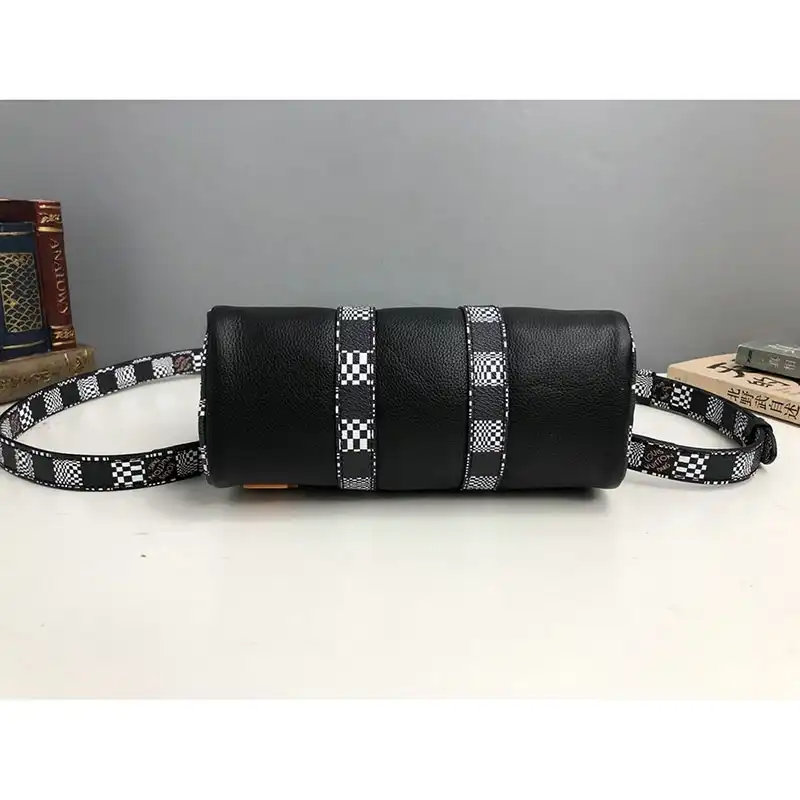 LV Bags 2010B570009