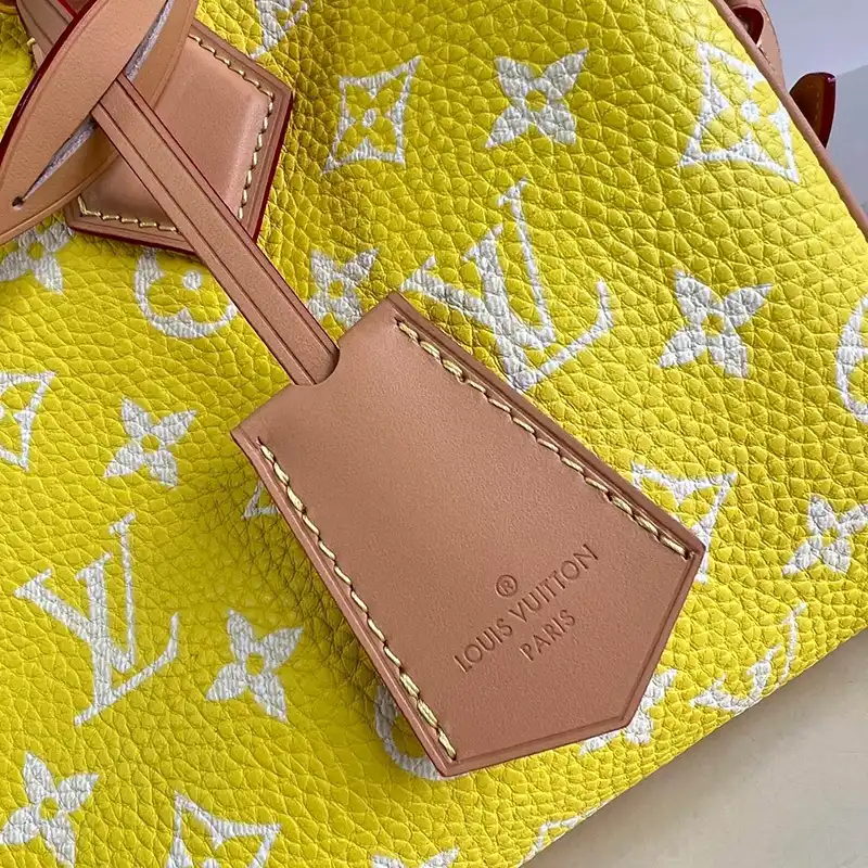 LV Bags 2407YZ0163