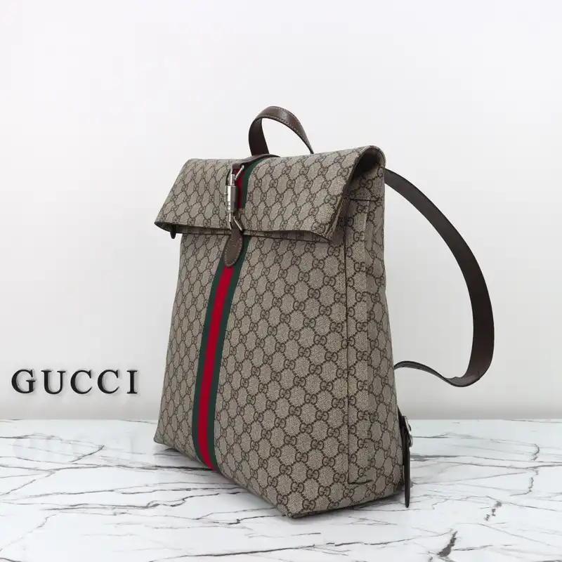 G*u*i bags 2411ya0156