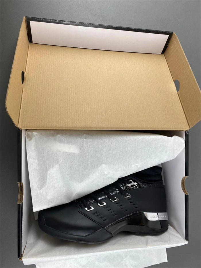 Air Jordan 17 OG  303891- Minimalist 4192