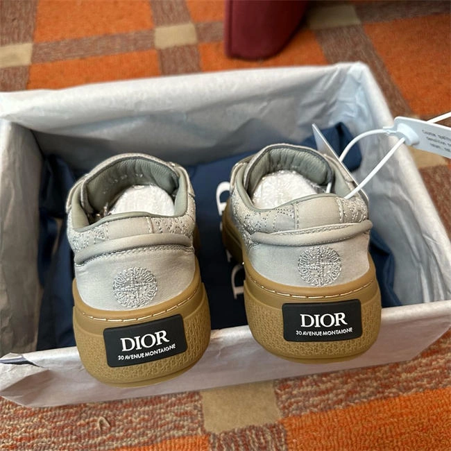 DIOR B33 DR GoAnywhere 1054