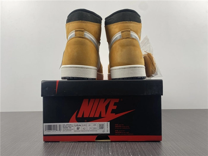 Jordan1 Element Gore-Tex Light Curry DB2889- Stylish 3707