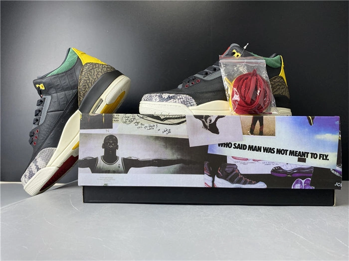 Jordan3 SE Animal Instinct CV3583- Classic 3843