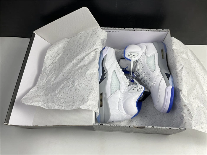 Functional Jordan5 White Stealth DD0587- 4016