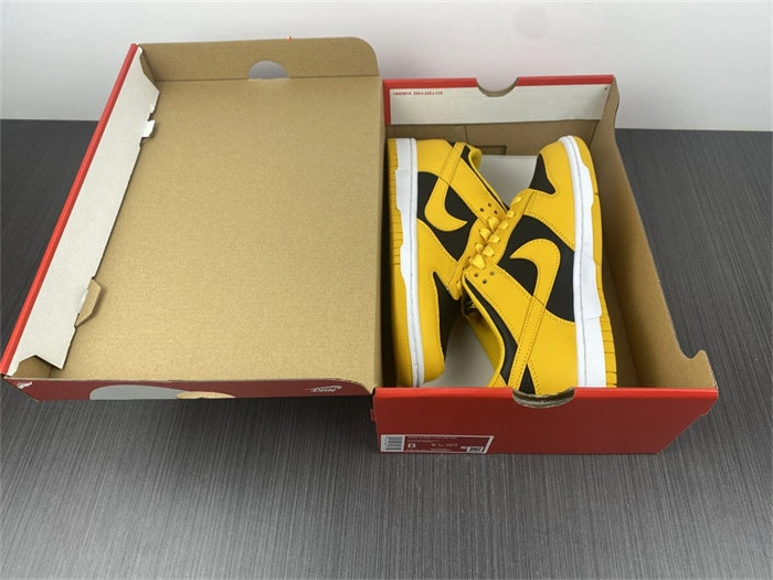 Nike Dunk Low Championship Goldenrod DD1391- EasyCare 4824