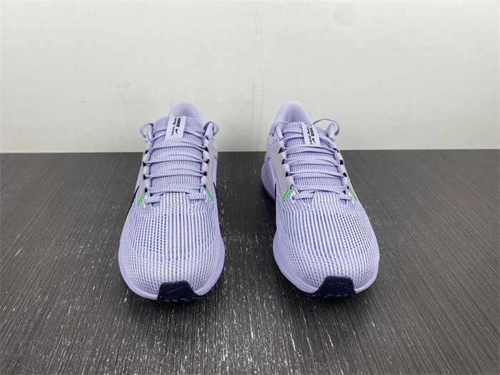 Nike Pegasus 40 DV3853- Seasonal 5311