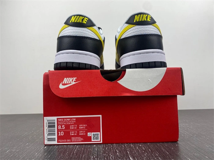 Lightweight Nike SB Dunk Scrap LowWolf Grey FQ2431- 4622