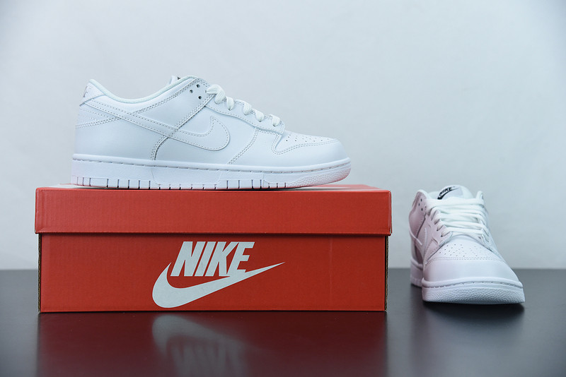 NIKE SB DUNK LOW 