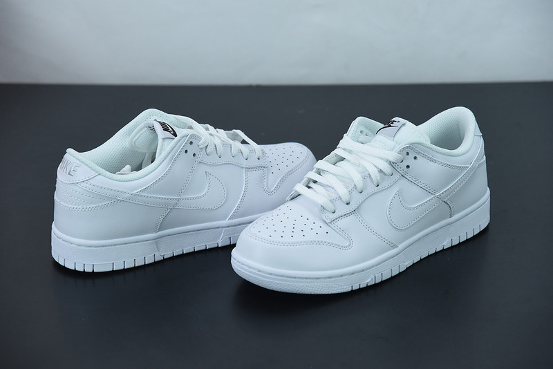 NIKE SB DUNK LOW 