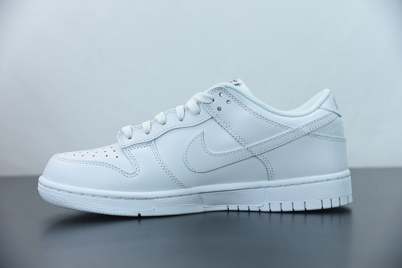 NIKE SB DUNK LOW 
