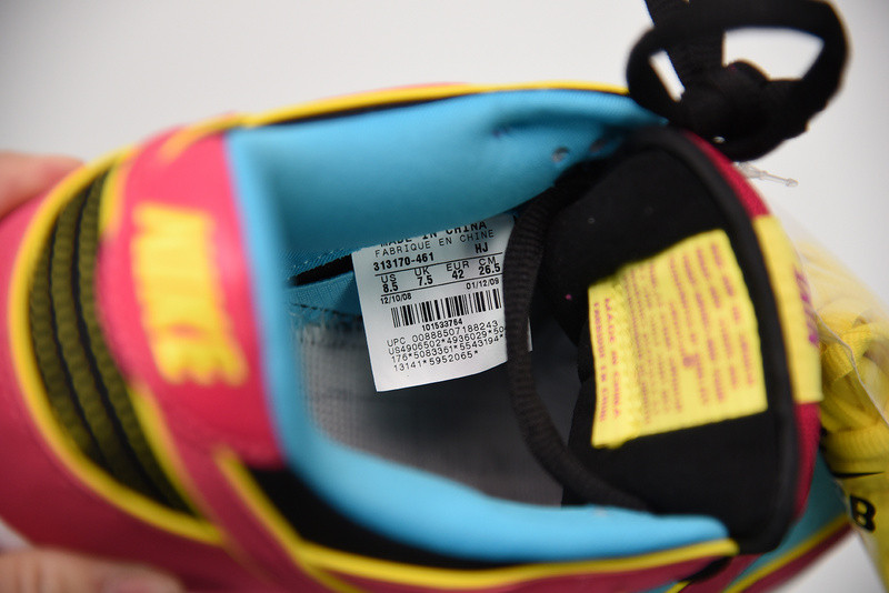dunk sb low preM1vm sb 