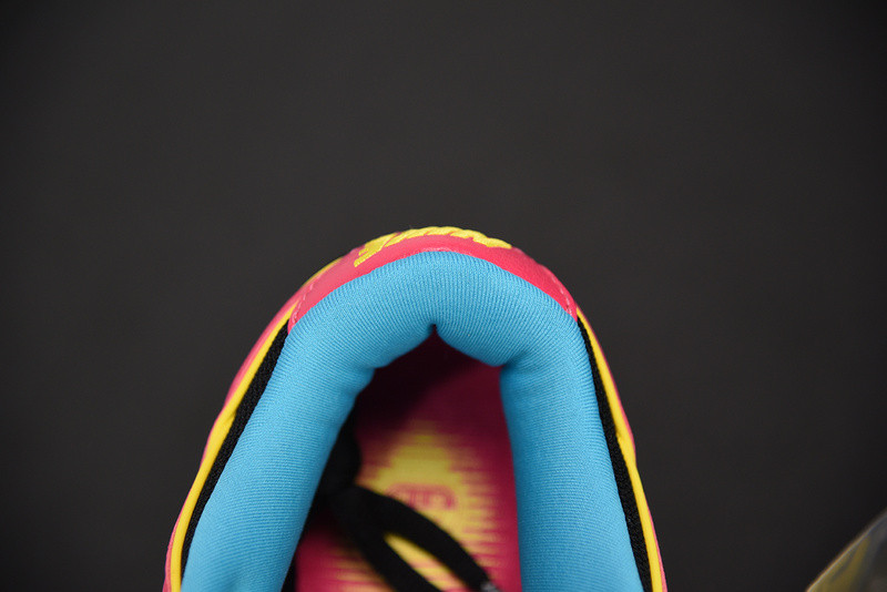 dunk sb low preM1vm sb 
