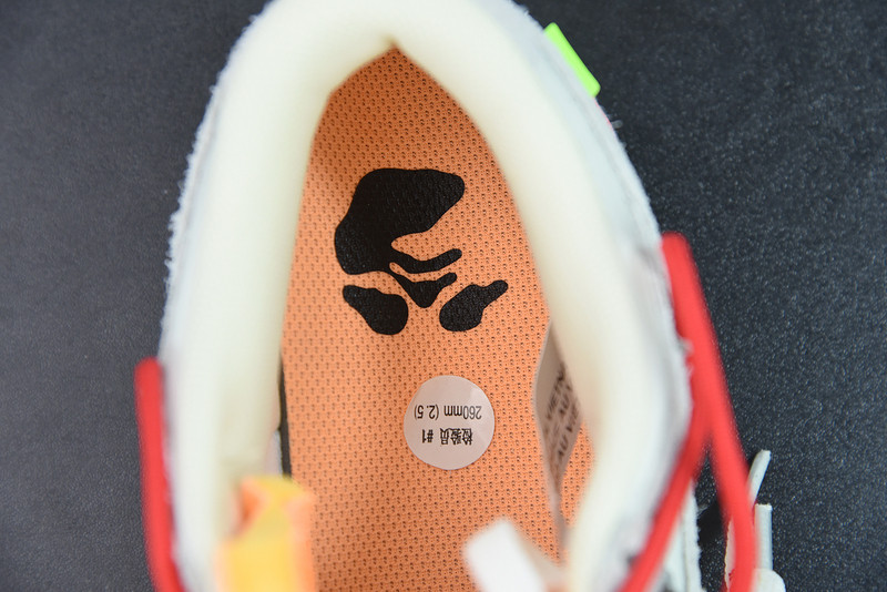 OF X DUNK LOW 