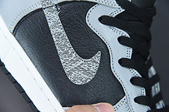 DUNK PRM HI SP