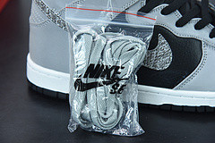DUNK PRM HI SP