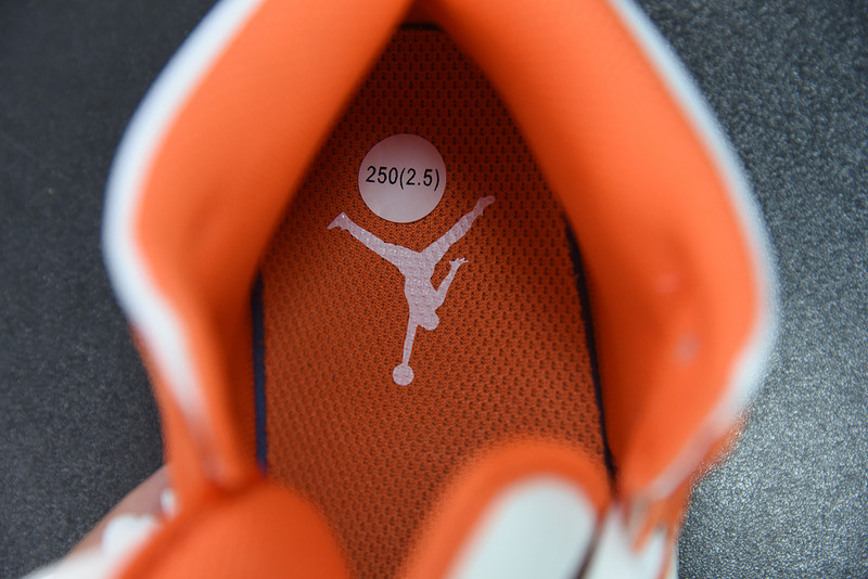 AIR JORDAN 1 MID SE 