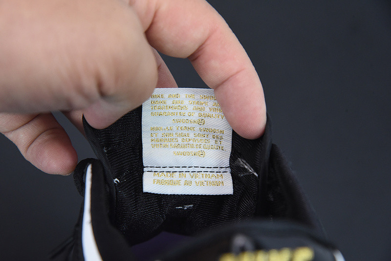 NIKE DUNK LOW "WORLD CHAMP" DR9511-100
