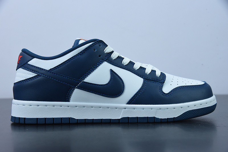 NIKE DUNK LOW VALERIAN BLUE DD1391-400
