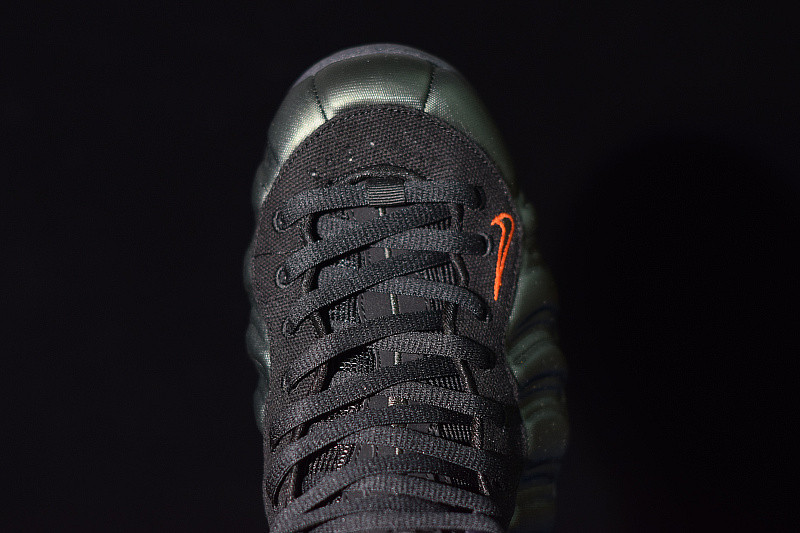 NIKE AIR FOAMPOSITE PRO SEQUOIA 624041-304