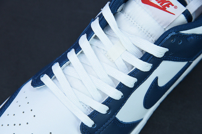 NIKE DUNK LOW VALERIAN BLUE DD1391-400