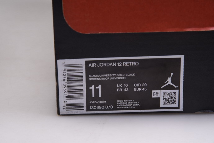 AIR JORDAN 12 “DARK CONCORD” CT8013-005